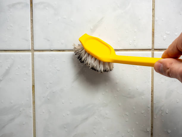 Best Mold Remediation  in North Catasauqua, PA