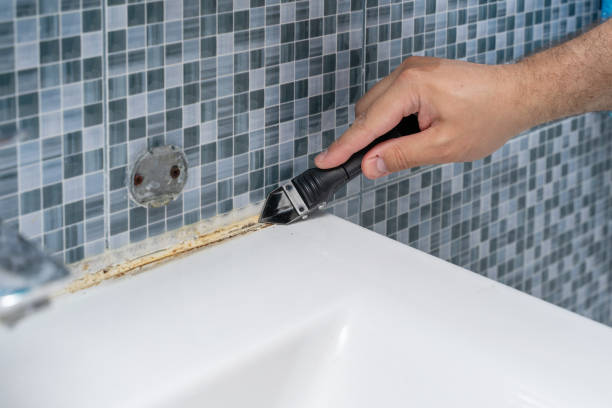 Reliable North Catasauqua, PA Mold Removal Solutions